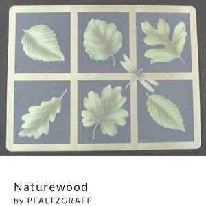 4 Pfaltzgraff Naturewood Dining Table Placemats - Green and Cream